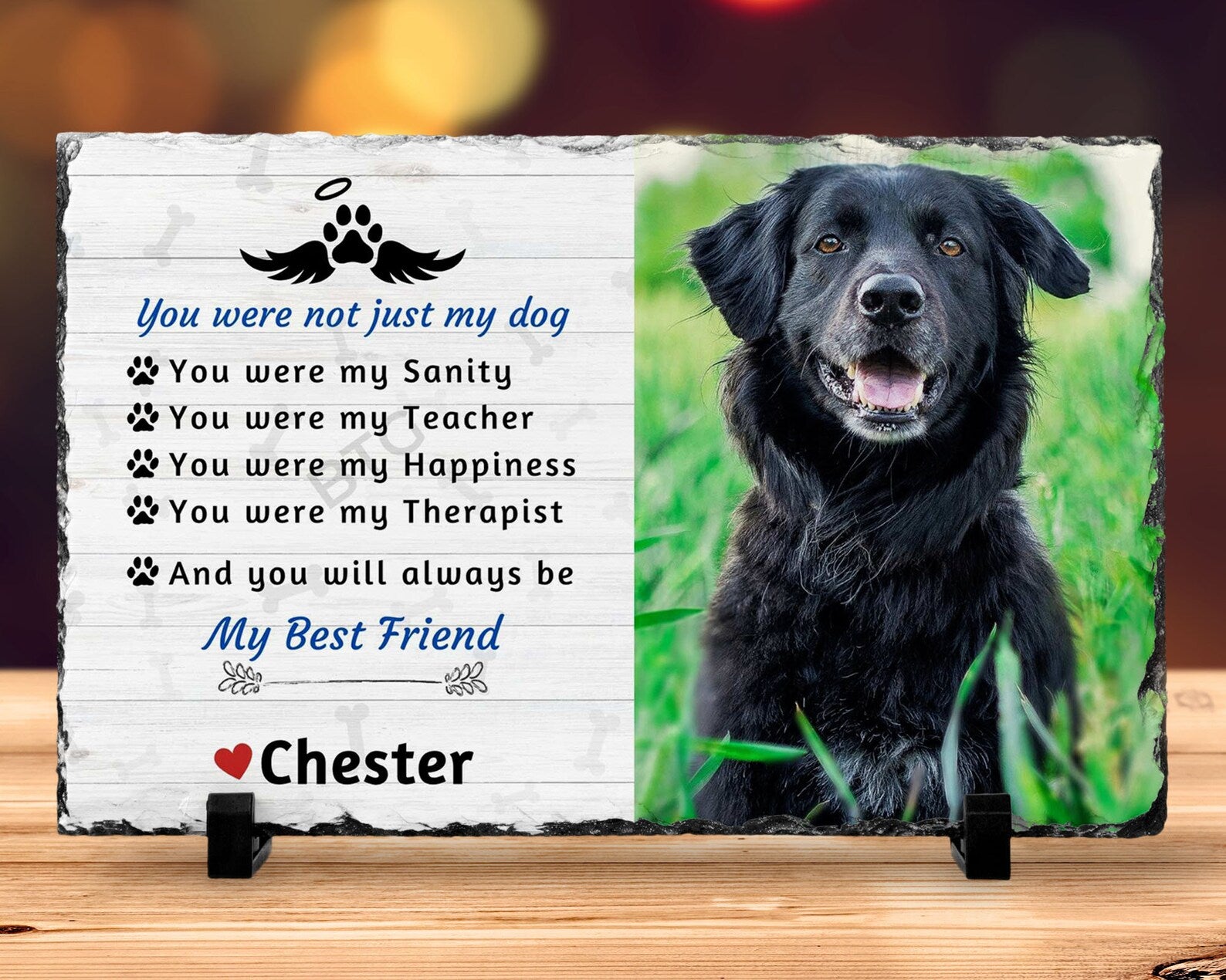 Pet Memorial Photo Plaque – My Best Friend