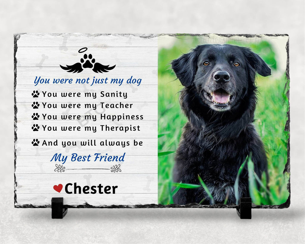 Pet Memorial Photo Plaque – My Best Friend